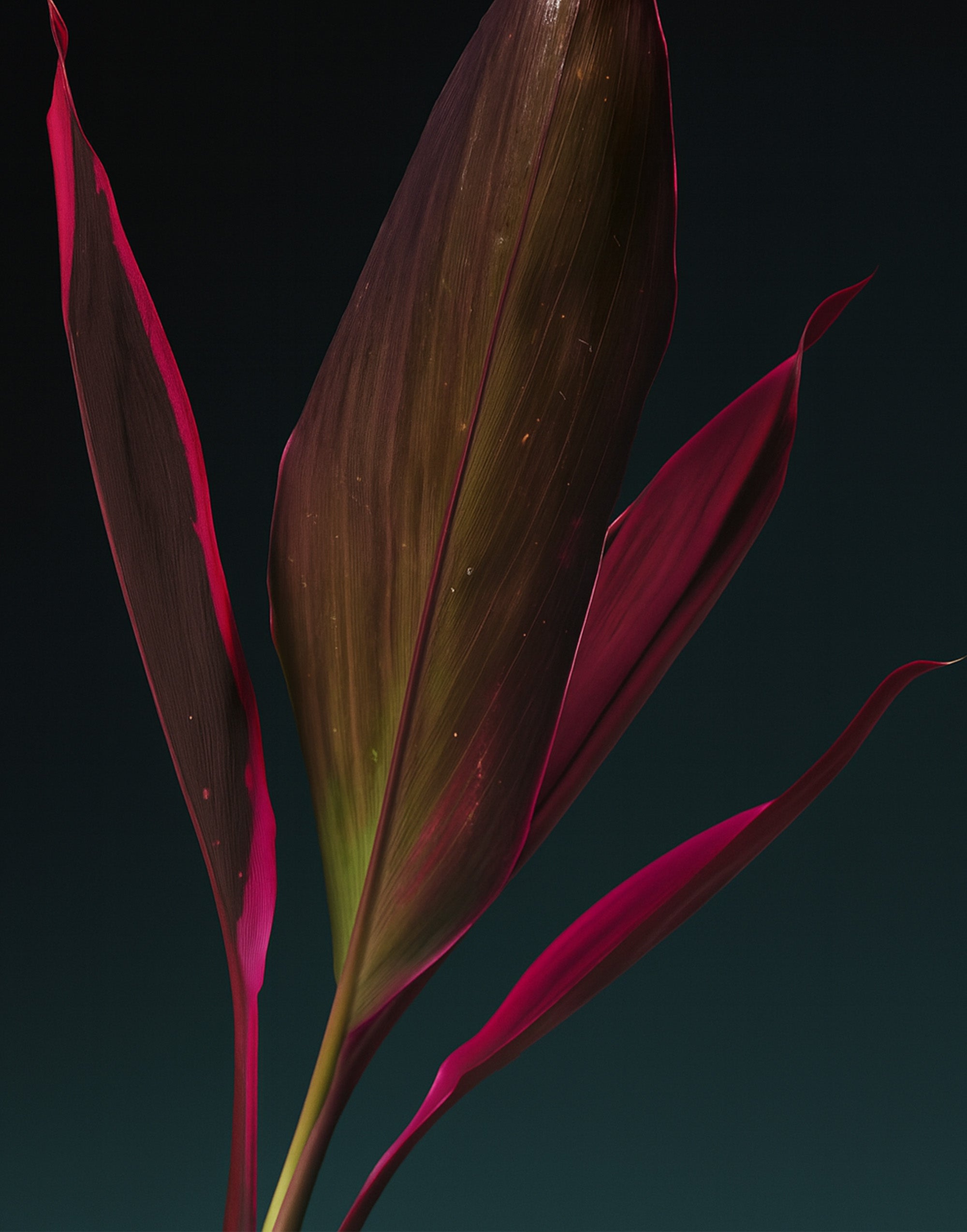 Wood Seesaw Fabric Mist